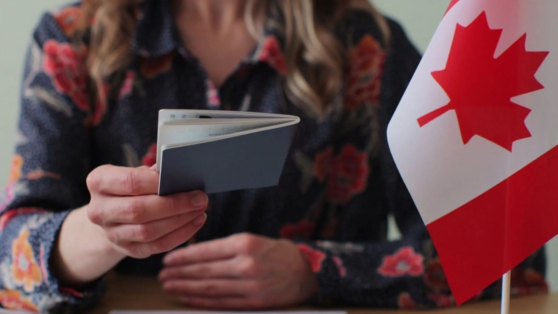 Canada's New C-12 Powers: How Bulk Immigration Changes Affect You